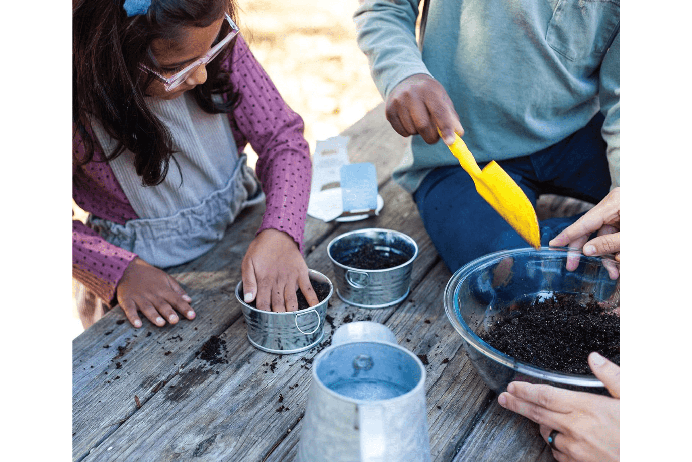 Children's Cactus Growing Kit