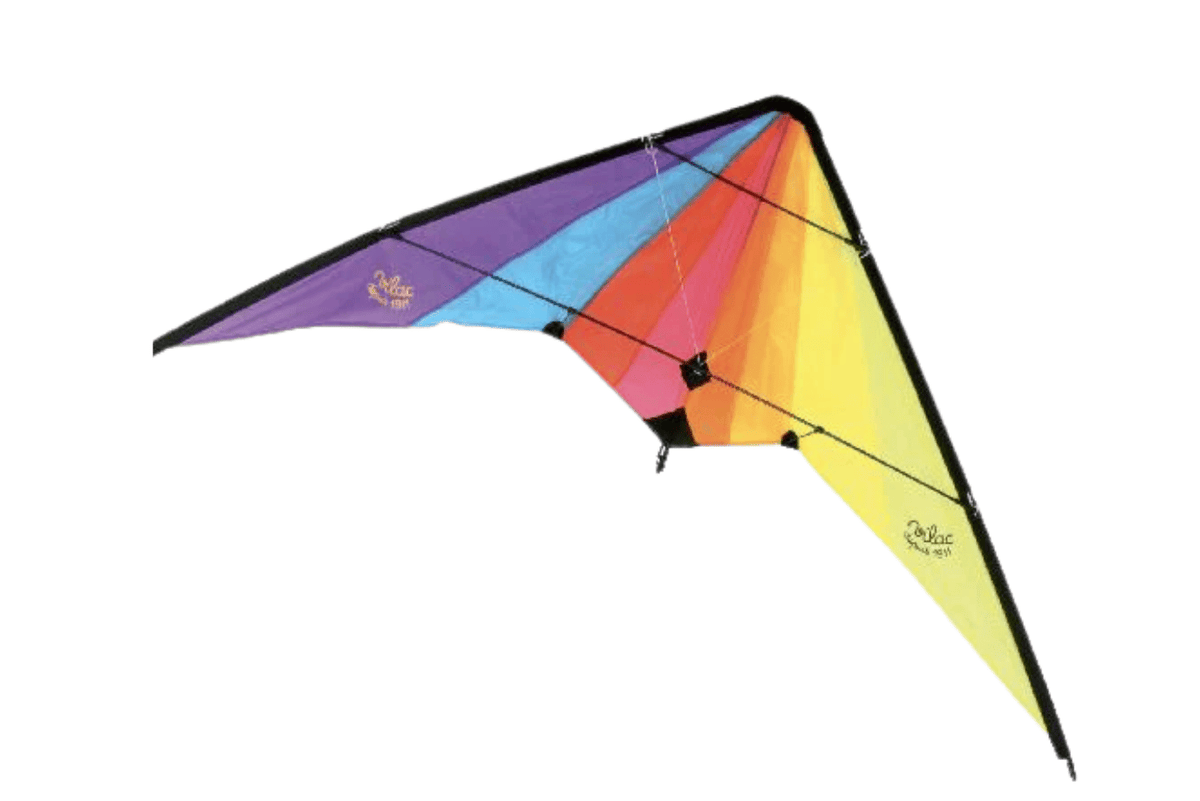 Fire the Imagination Delta Rainbow Kite