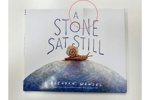 A Stone Sat Still by Brendan Wenzel [Hardcover] - Ripped Dust Jacket