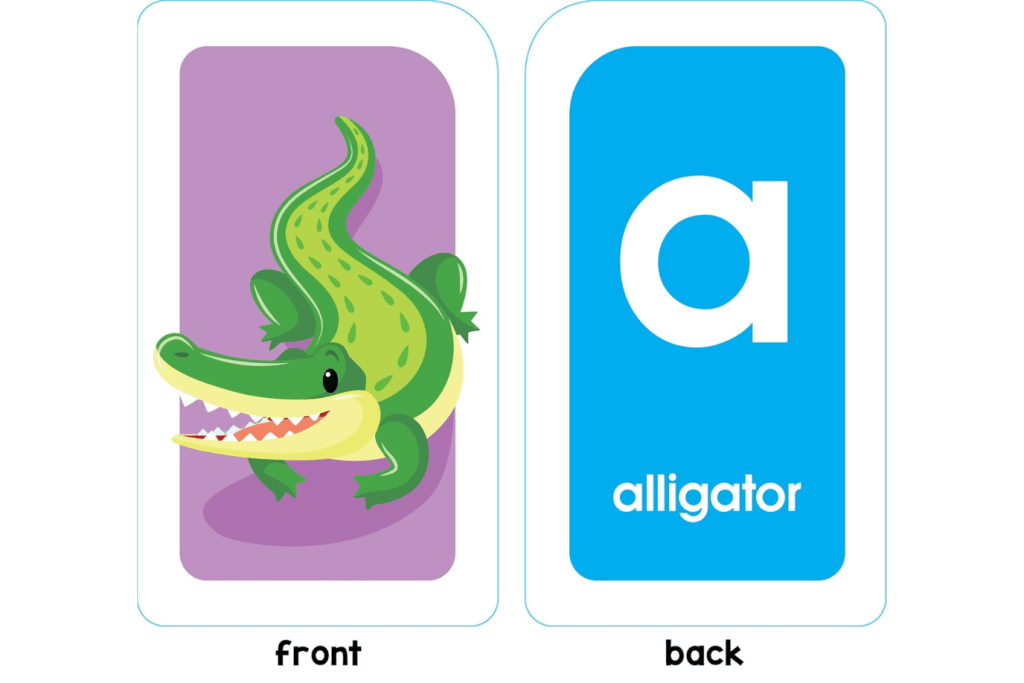 Alphabet Flashcards