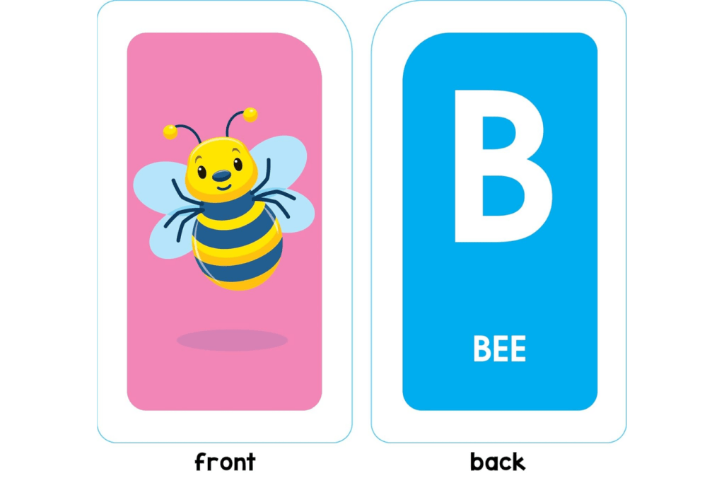 Alphabet Flashcards