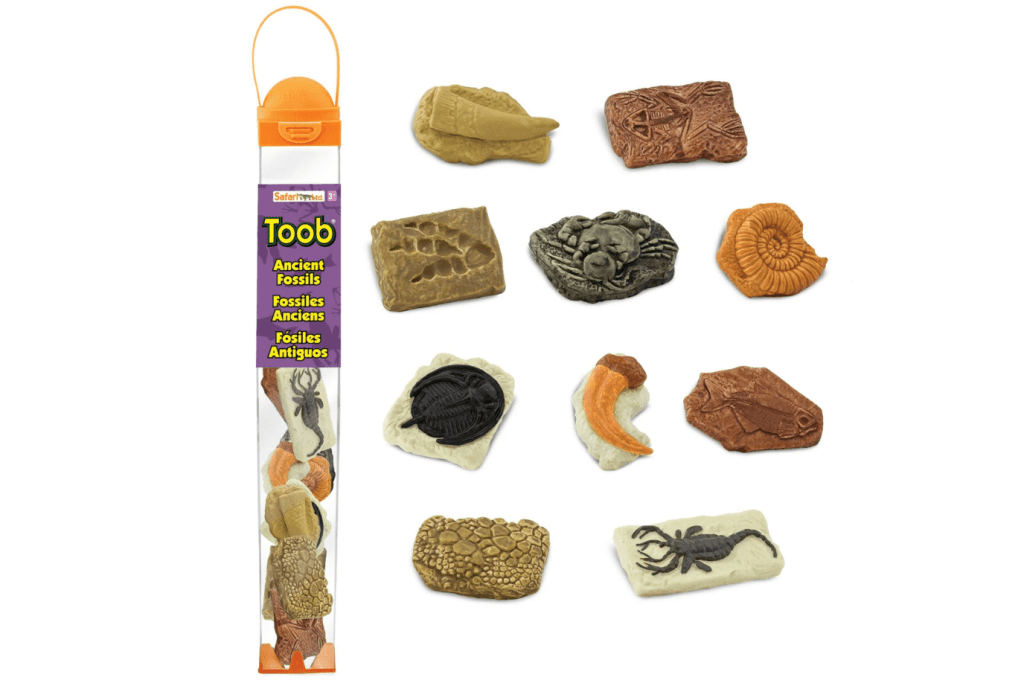 Ancient Fossils Toob®, dinosaur footprint, giant crab, ammonite, raptor claw, fossilized frog, trilobite, T-Rex tooth, fossilized fish, dinosaur skin, and a sea scorpion, Language figurines, realistic figurines, Montessori language materials, The Montessori Room, Toronto, Ontario, Canada, dinosaur sensory bin