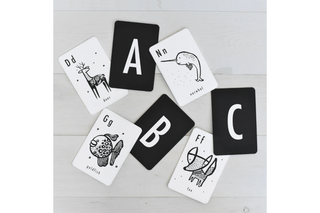 Animal Alphabet Flash Cards