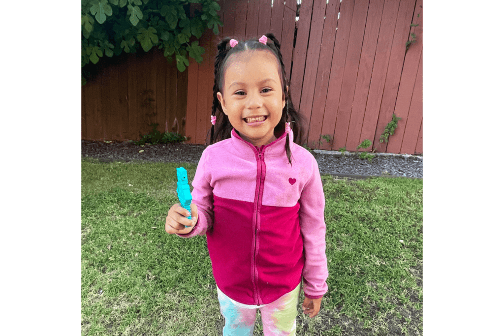 ARK MEGA RoboChew™ Robot Chewy