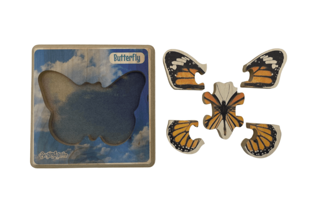 Beginner Insect Puzzles
