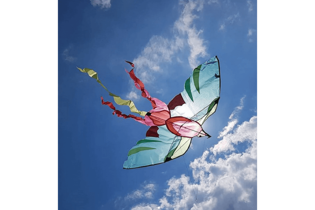 Bird of Paradise Kite