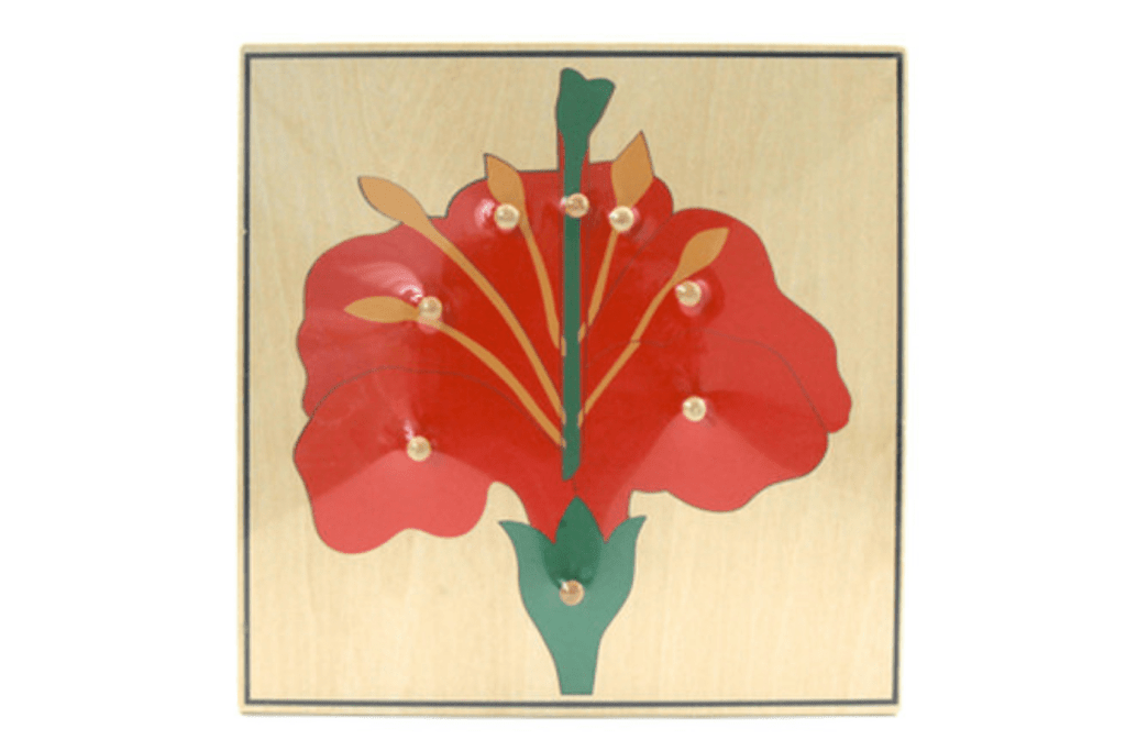 Botany Puzzle - Flower, Montessori Biology materials, Casa classroom materials, budget-friendly Montessori materials, The Montessori Room, Toronto, Ontario, Canada. 