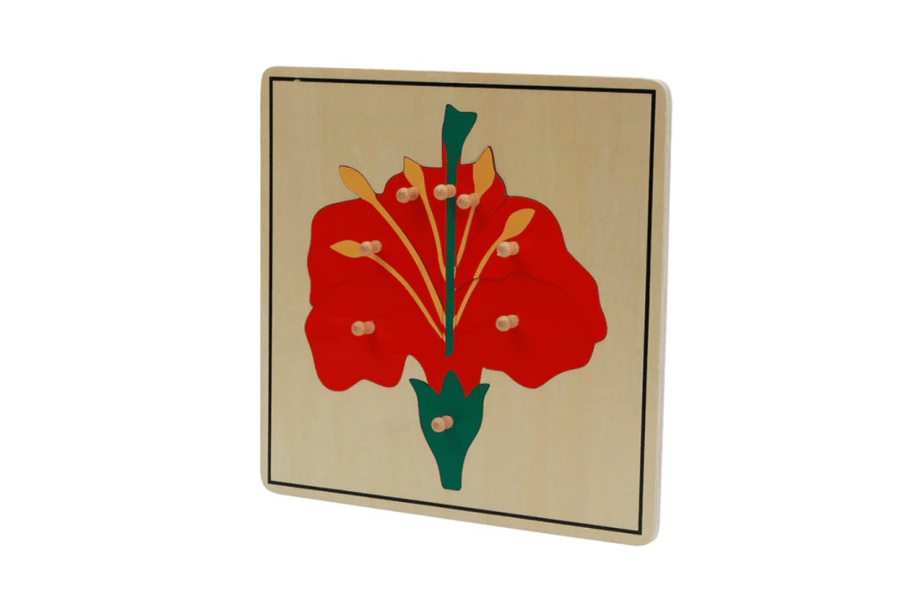 Botany Puzzle - Parts of a Flower