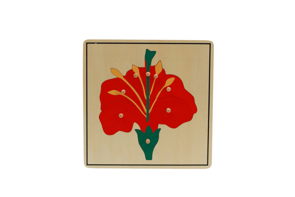 Botany Puzzle - Flower, Montessori Biology materials, Casa classroom materials, budget-friendly Montessori materials, The Montessori Room, Toronto, Ontario, Canada. 