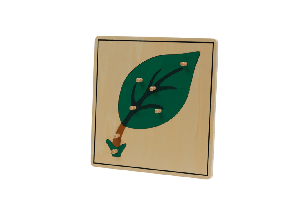 Botany Puzzle - Leaf, Montessori Biology Materials, Casa Classroom Materials, budget-friendly Montessori materials, The Montessori Room, Toronto, Ontario, Canada. 
