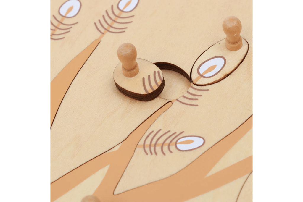 Botany Puzzle - Parts of a Root