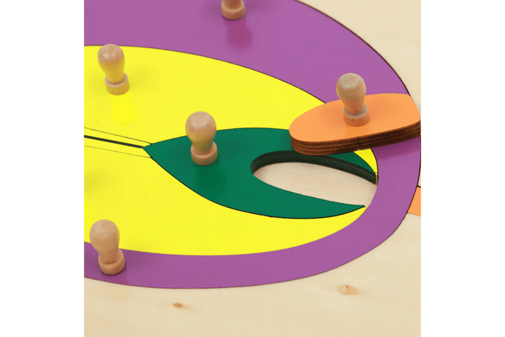 Botany Puzzle - Parts of a Seed