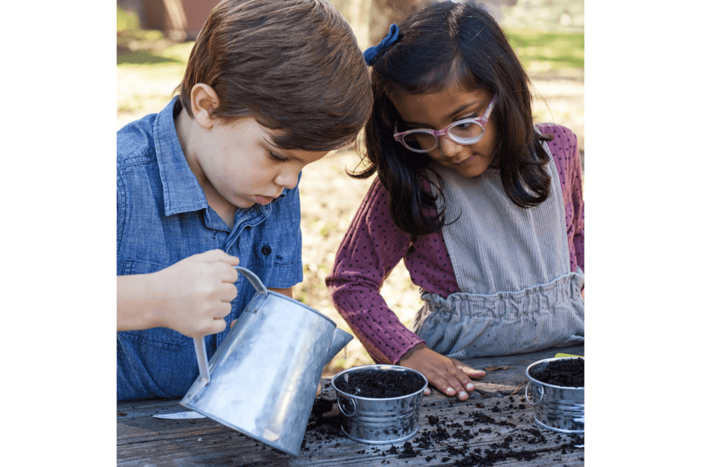 Children's Cactus Growing Kit