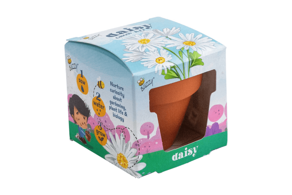 Buzzy Seeds grow kits, Buzzy seeds daisy kit, Toronto, Canada