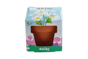 Children’s Mini Growing Kits (3 Kits Available)