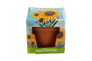 Children’s Mini Growing Kits (3 Kits Available)
