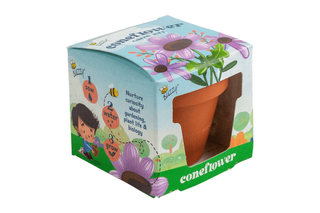 Buzzy Seeds grow kits, Buzzy seeds coneflower kit, Toronto, Canada