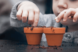 Children’s Pollinator Grow Kits (3 Kits Available)