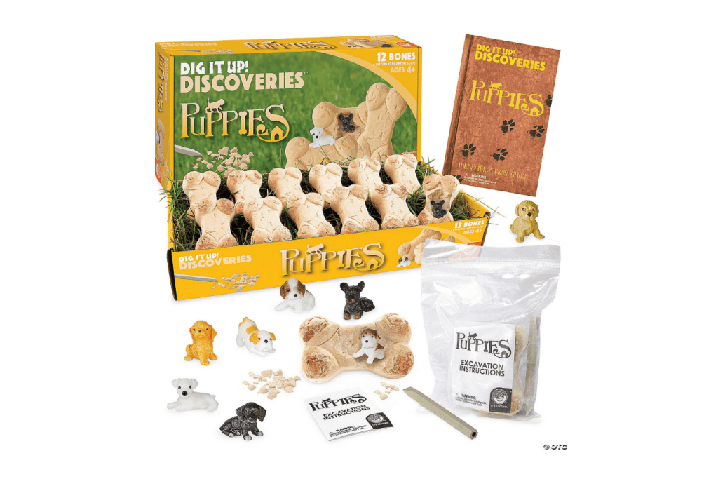 Dig It Up! Eggs