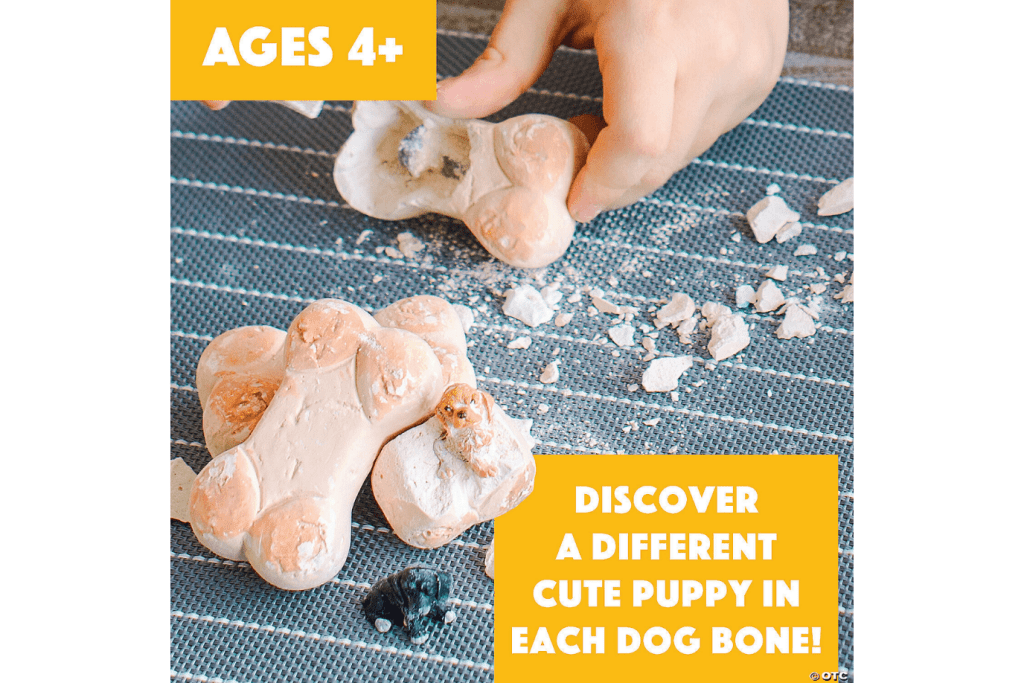 Dig It Up! Eggs