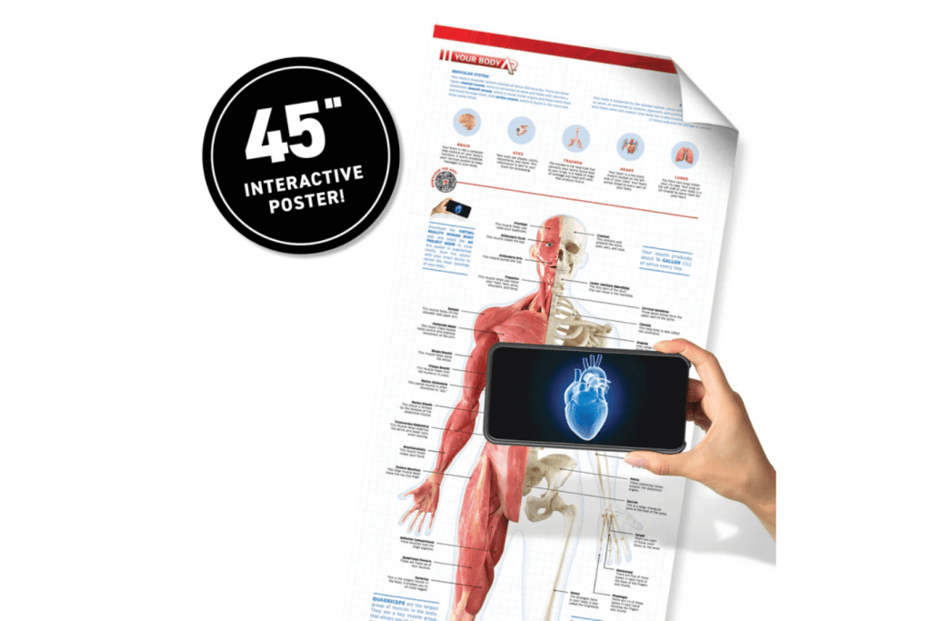 DK Virtual Reality Kits