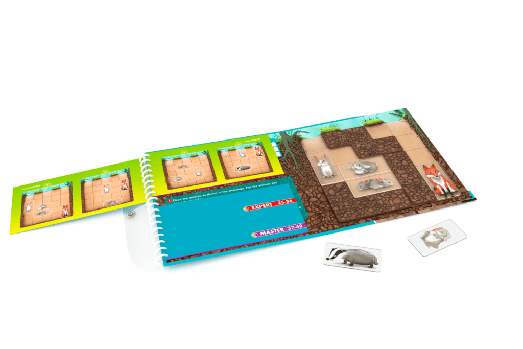 Down The Rabbit Hole Travel Game