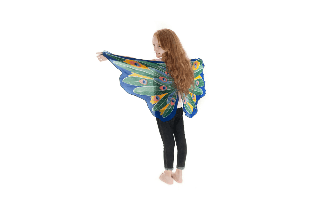 Dress Up Bird Wings
