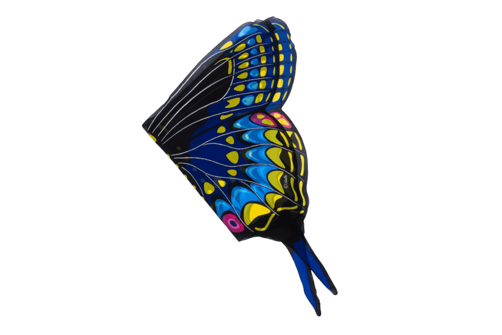 Dress Up Butterfly Wings