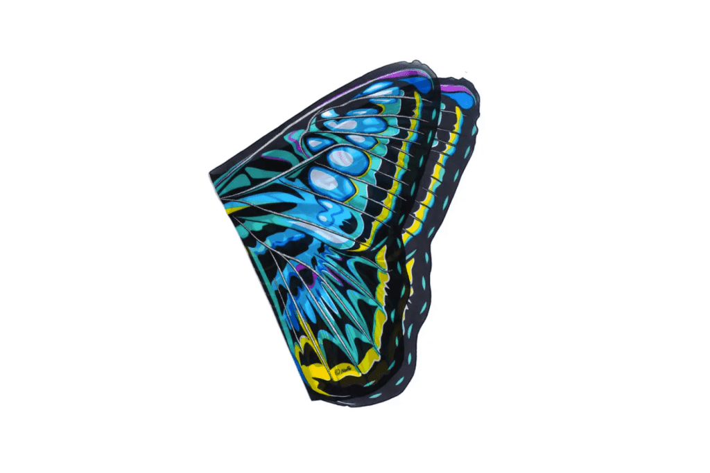 Dress Up Butterfly Wings