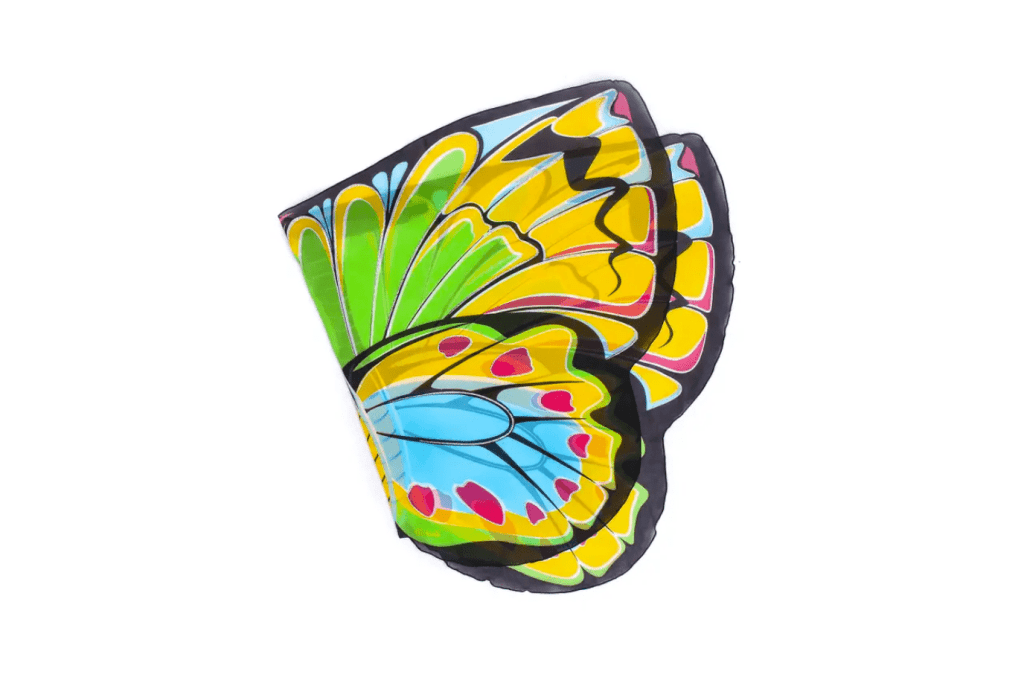 Dress Up Butterfly Wings