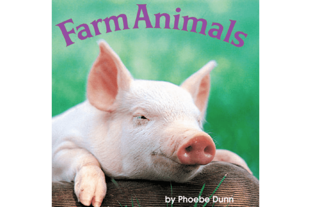 Farm Animals Mini Book, mini books for toddlers, Farm Animals by Phoebe Dunn, books with real photos, Montessori books for toddlers, books with pictures of real animals, Toronto, Canada