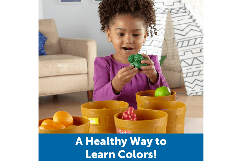 Farmer's Market Large Colour Sorting Set