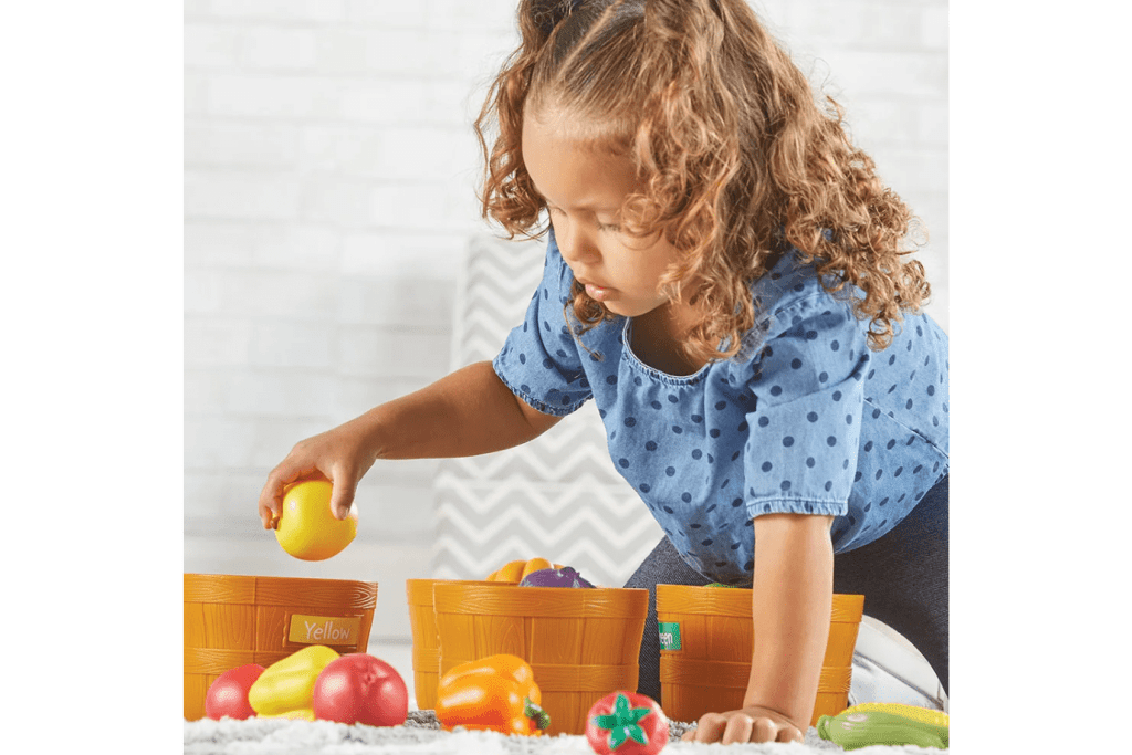 Farmer's Market Large Colour Sorting Set