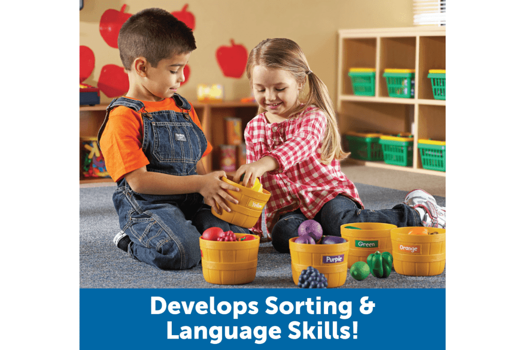 Farmer's Market Large Colour Sorting Set