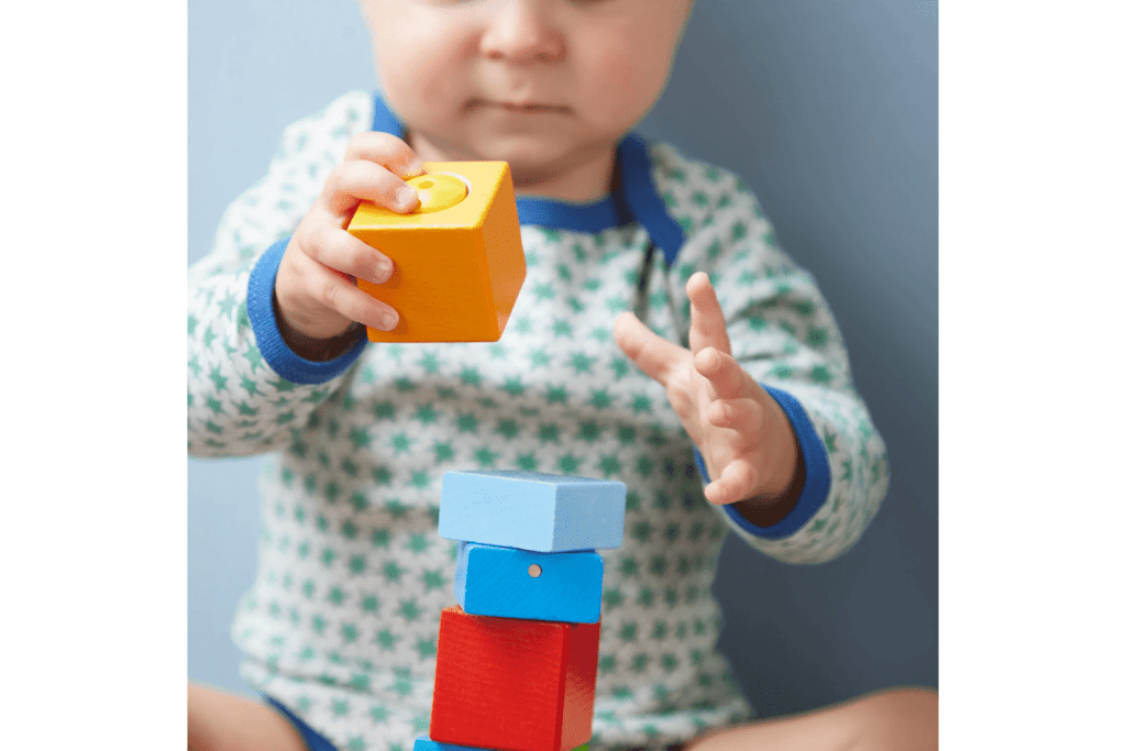 Fun with Sounds Wooden Discovery Blocks