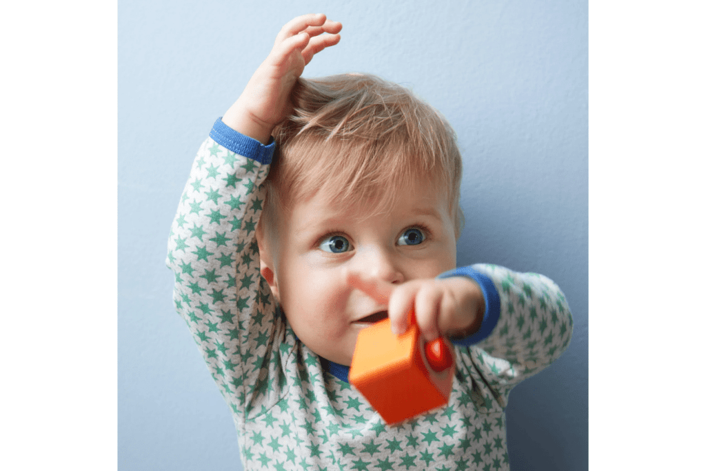 Fun with Sounds Wooden Discovery Blocks