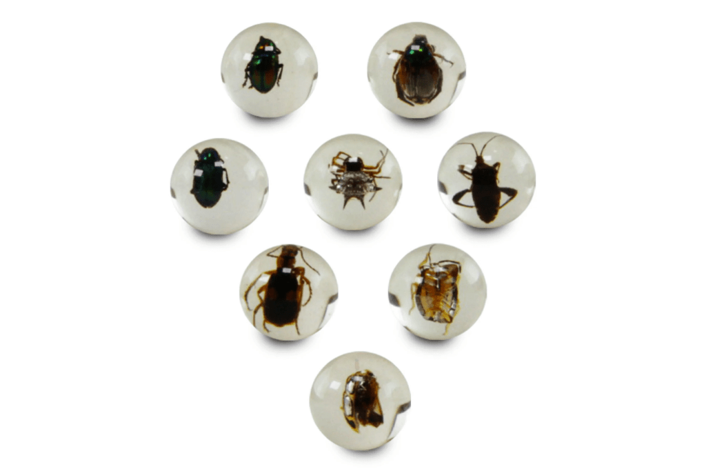 GEOWorld Bug Marbles, 6 years and up, Safari LTD, gifts for insect lovers, science learning for kids, The Montessori Room, Toronto, Ontario, Canada. 