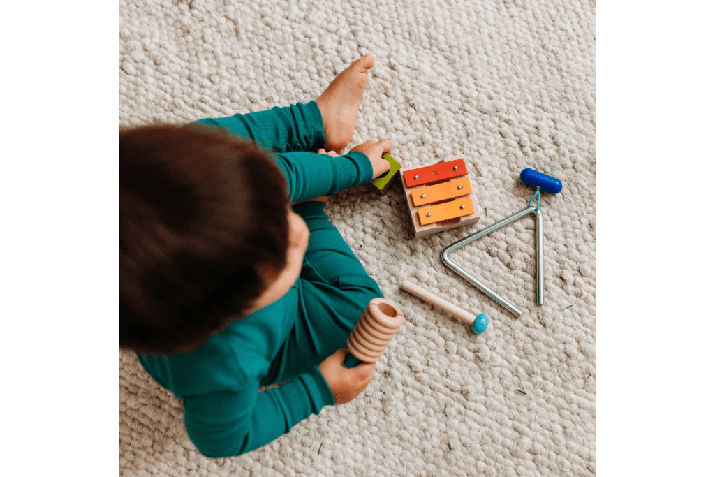 Haba Musical Joy Instrument Set