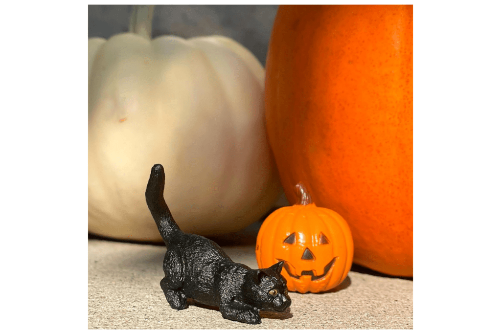 Halloween Toob®