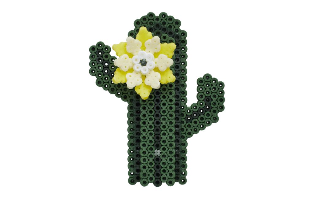 Hama Succulents