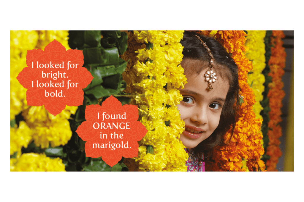 Holi Colours [Board Book]