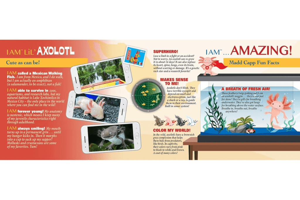 I Am A Lil' Axolotl Puzzle - 100 Pieces