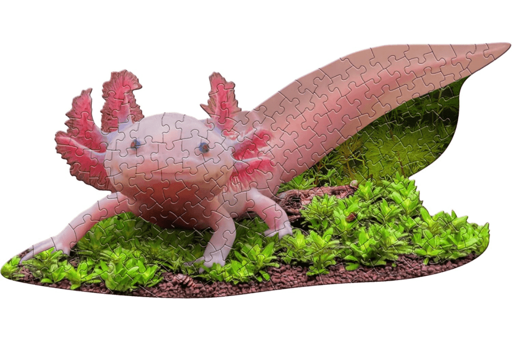 I Am A Lil' Axolotl Puzzle - 100 Pieces