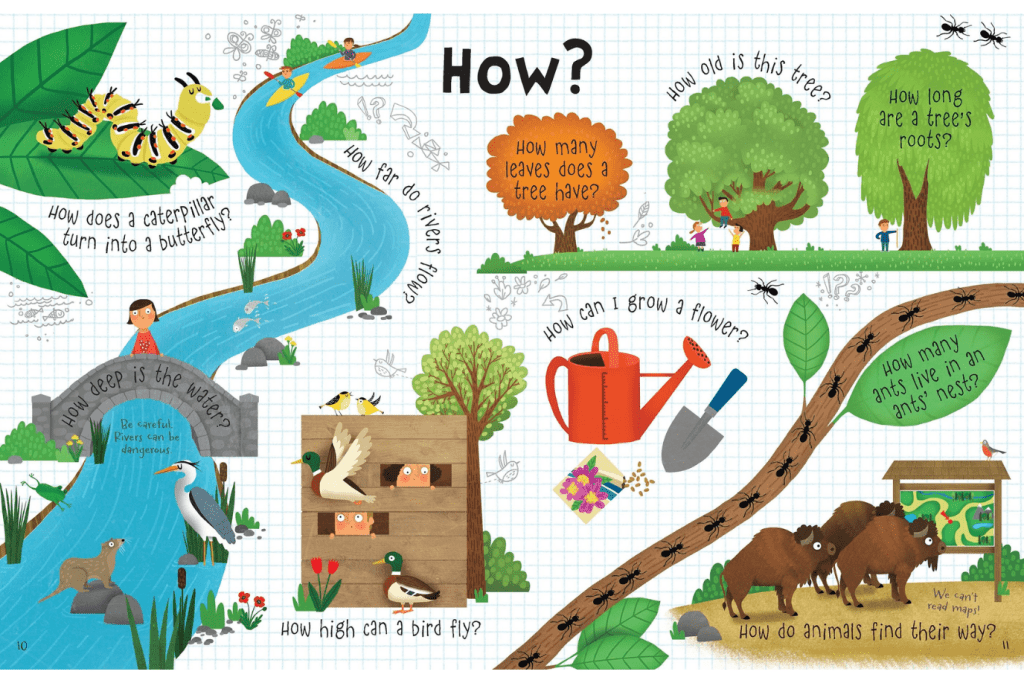 Lift-the-flap Questions and Answers about Nature by Katie Daynes