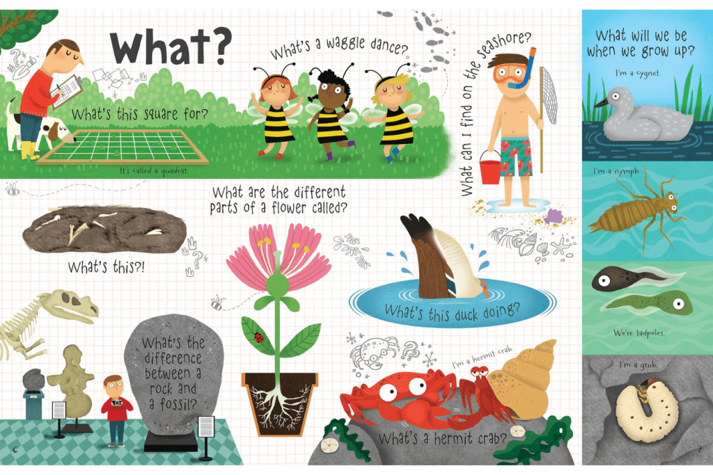 Lift-the-flap Questions and Answers about Nature by Katie Daynes