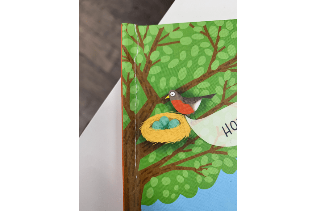 Lift-the-flap Questions and Answers about Nature by Katie Daynes - Damaged Cover - FINAL SALE