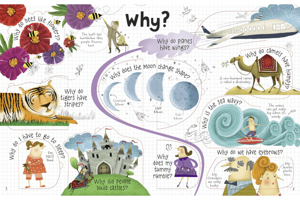 Lift-the-flap Questions and Answers by Katie Daynes