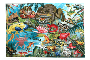 Love Of Amphibians [100 Piece Puzzle]