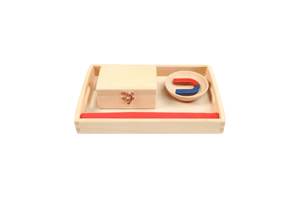 Magnet Activity