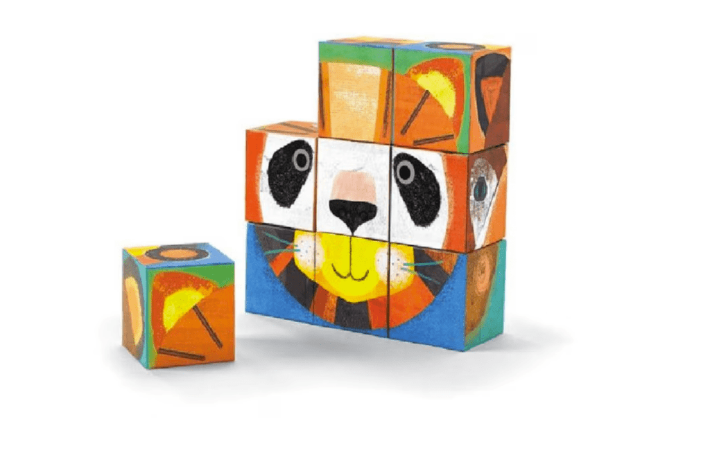 Make-A-Face Puzzle Blocks